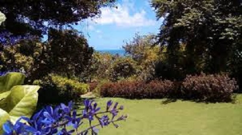 Andromeda Gardens, Bathsheba
