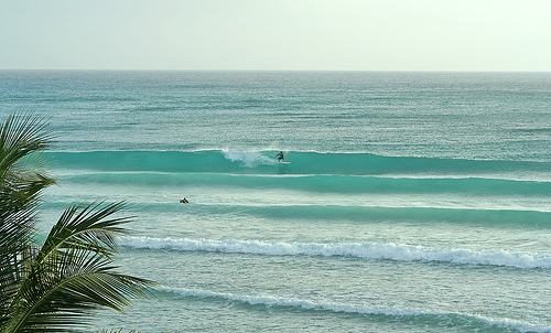 Surfing at Freights Bay