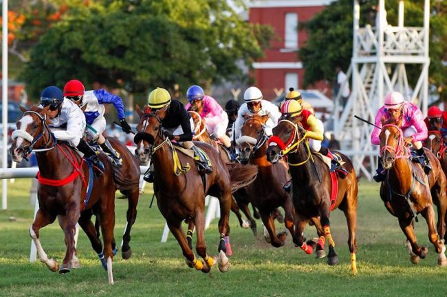 Horse Racing at Historic Garrison