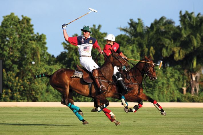 Polo In Barbados