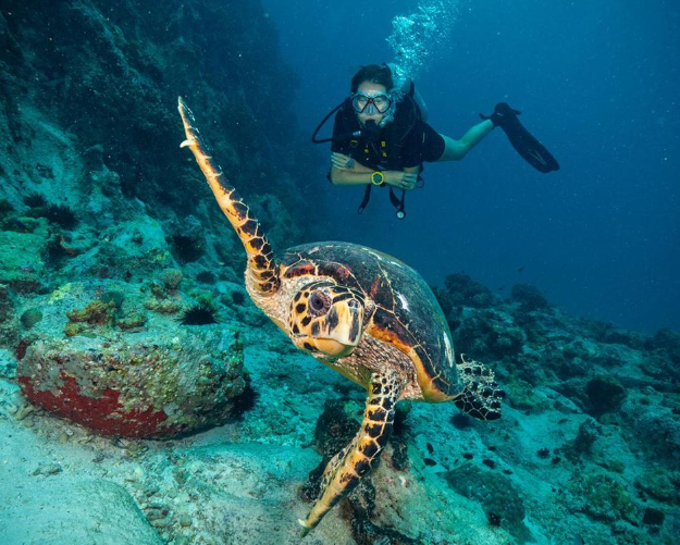 Dive Fest Barbados
